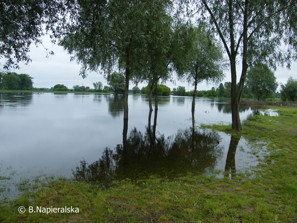 Miedzychód